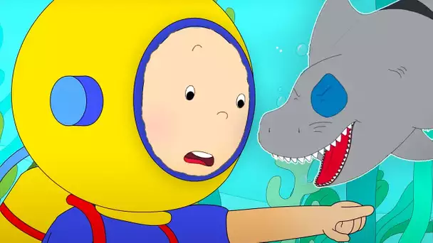 La Mission Sous-Marine de Caillou | Caillou en Français