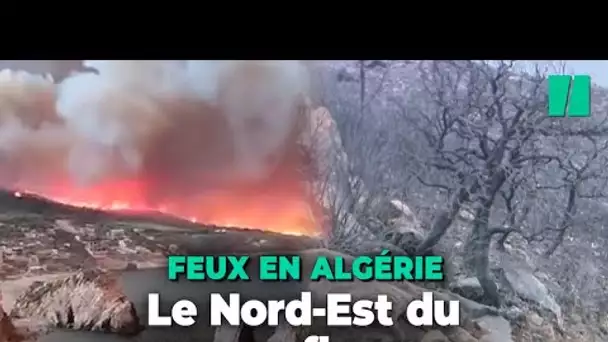 Les images des violents incendies en Algérie qui ont fait 34 morts