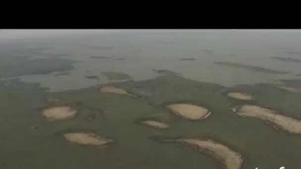 Tchad : paysage contrasté sur le lac Tchad