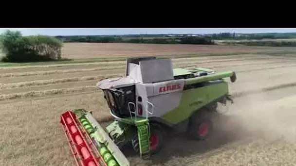 Vendée : la mauvaise récolte des céréales met les agriculteurs en difficulté