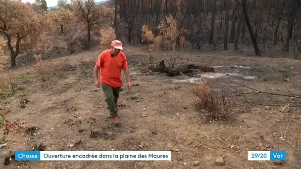 Chasse : une ouverture règlementée dans la plaine des Maures