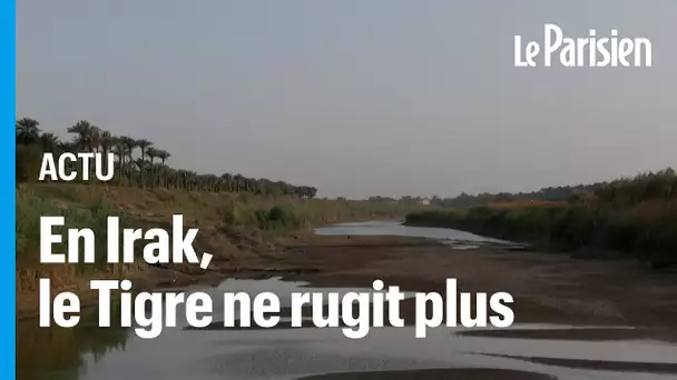 En Irak, le Tigre, le fleuve qui traverse tout le pays, se meurt