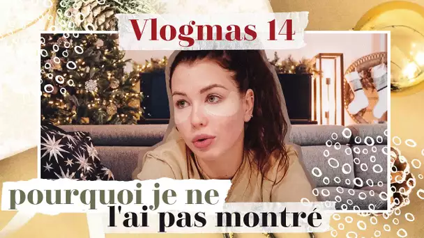 Pourquoi je n'en Parle Pas. | Vlogmas 14