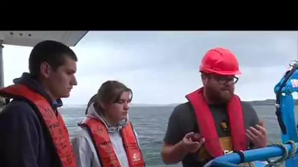 Travaux pratiques en rade de Brest pour des étudiants en sciences de la mer