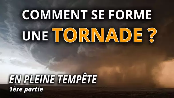 Comment se forme une tornade ? - L'Esprit Sorcier