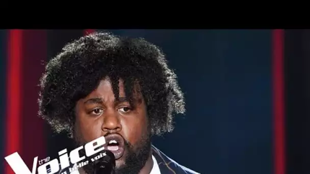 Germaine Sablon - Le chant des partisans | Luc Laversanne | The Voice France 2021 | Blinds...