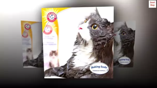 Arm & Hammer for Pets 2-in-1 Deodorizing & Dander Reducing Foam for Cats
