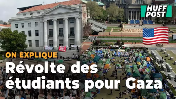 Dans les universités américaines, les sit-in pour Gaza persistent malgré les arrestations