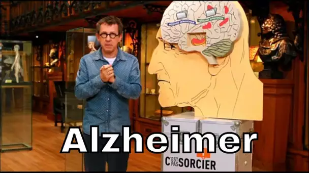 Que sait-on sur l'origine de la maladie d'Alzheimer ? - C'est Pas Sorcier