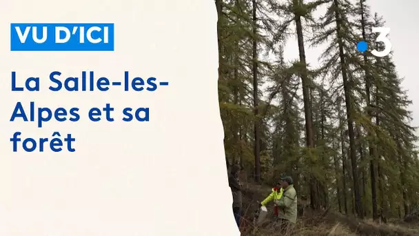 La station de ski de La Salle-des-Alpes tournée vers ses forêts