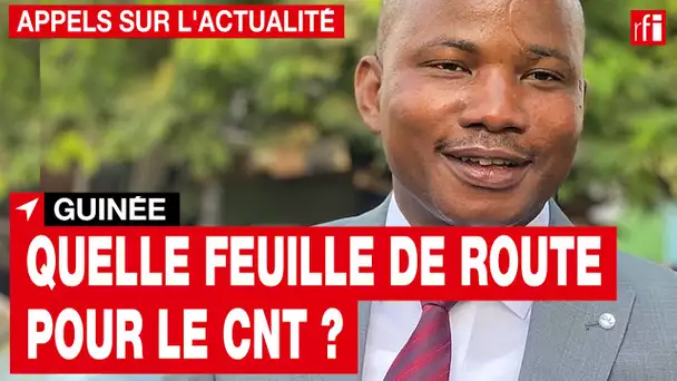 Guinée : le CNT est mis en place, et maintenant ? • RFI