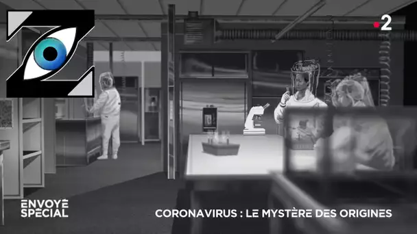 [Zap Télé] Enquête sur les origines du coronavirus  (13/03/21)