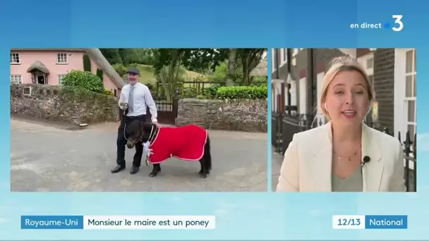 Monsieur le maire est un poney