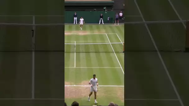 🎾 Wimbledon 🤏 Carlos ALCARAZ est passé TOUT PROCHE de marquer un point FOU  !! #Shorts
