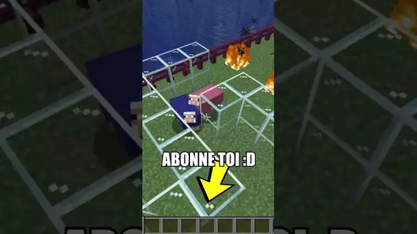 🤣🐑 Le Mouton Rose Prend Sa Revanche ? Minecraft