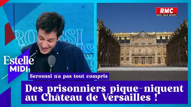 Vincent Seroussi : Des prisonniers pique-niquent au Château de Versailles !