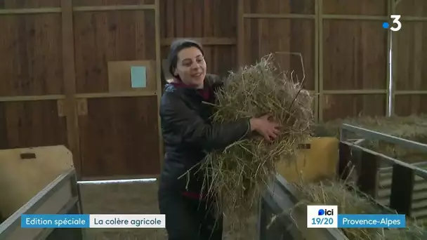 Malgré la crise agricole, toujours plus d'élèves au lycée agricole de Carmejane (04)