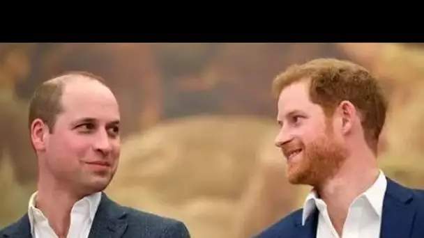 L'assistant royal "complètement décontenancé" par la question de Harry et William lors de l'entretie