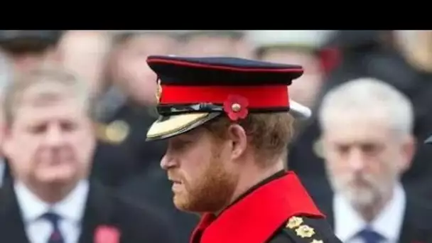 Royal Family LIVE: les couronnes du souvenir de Harry et Andrew ont été retirées de l'affichage publ