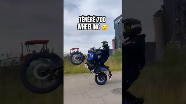 YAMAHA Ténéré 700 Wheeling ! 😮 #moto