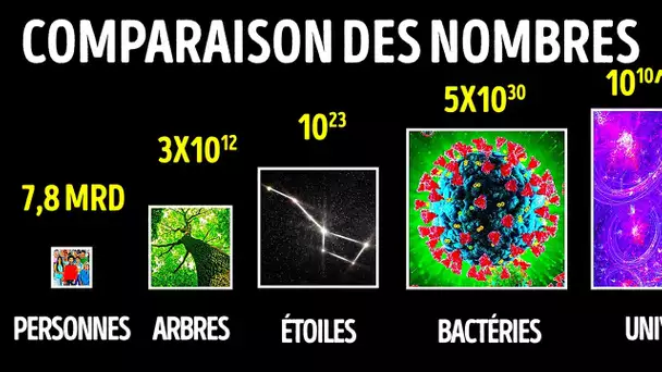 Comparaison des très grands nombres (et leur signification)