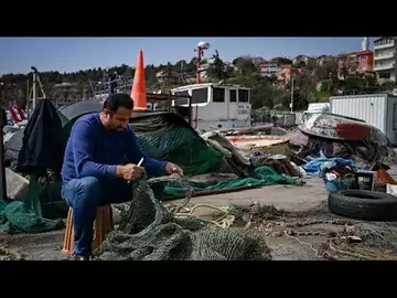 Des mines en provenance d'Ukraine dans un port turc