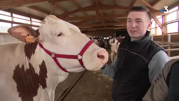 Pierrefontaine les Varans : Jupline et Madona deux vaches récompensées au salon de l'agriculture