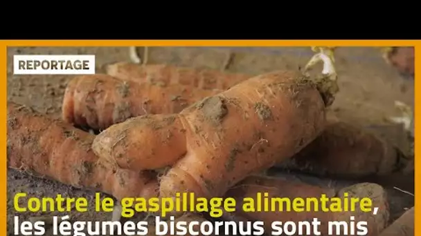 Contre le gaspillage alimentaire, les légumes biscornus sont mis à l'honneur