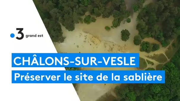La sablière de Châlons-sur-Vesle, un site exceptionnel à respecter