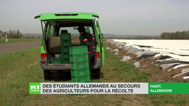 Allemagne : les étudiants au secours des agriculteurs