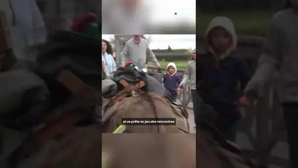 Un duo improbable fait le tour de la France... à pied