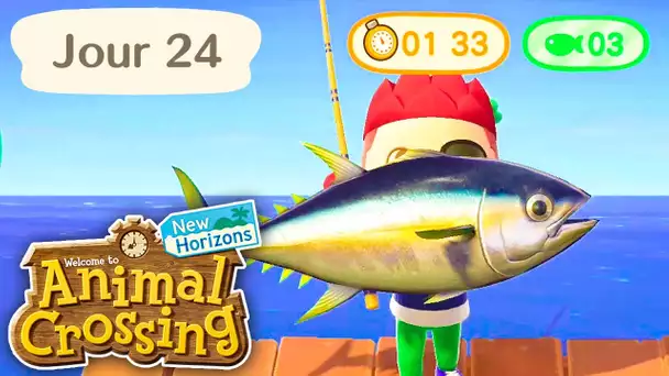 Jour 24 | Le Tournoi de Pêche 🐟 | Animal Crossing : New Horizons