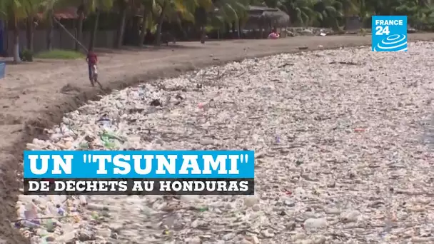 Un "tsunami" de déchets sur une plage du Honduras