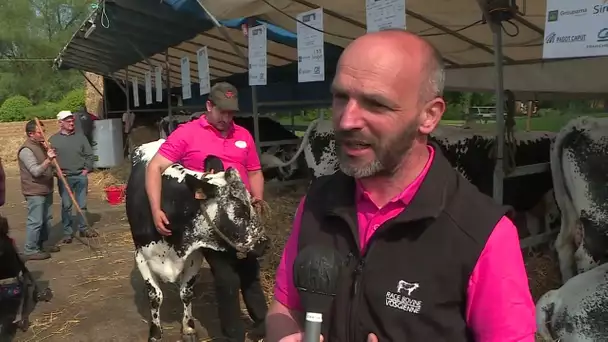 Festival de l'élevage 2022, un rendez-vous incontournable en Haute-Saône