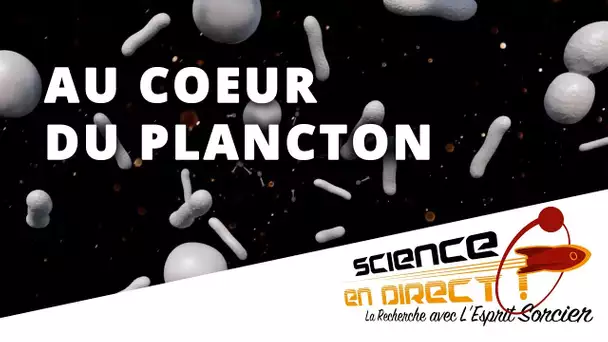 Planktomania, immersion au coeur du plancton - Science En Direct