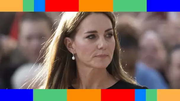 Kate Middleton à Westminster : ce choix de boucles d'oreilles étonnant pour assortir sa broche très