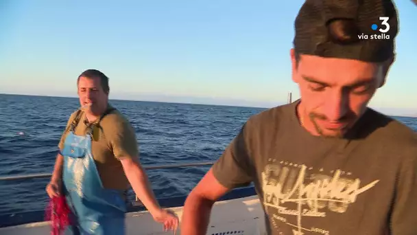 Marins pêcheurs en Corse : Portrait de Philippe et Maxime Botti