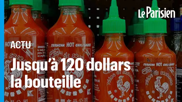 Aux États-Unis, la pénurie de sauce piquante Sriracha affole les prix