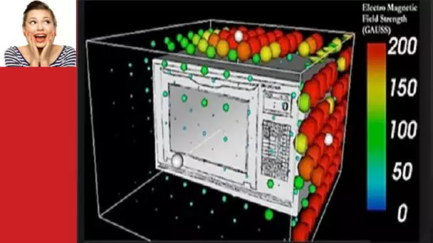 On vous dit que les fours à micro ondes sont dangereux, mais voilà ce qu’on ne vous dit pas