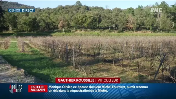 Gelées généralisées sur la moitié nord: les viticulteurs s’organisent pour protéger les plantes