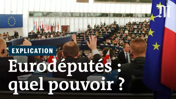 Députés français ou européens : qui a le plus de pouvoir ?