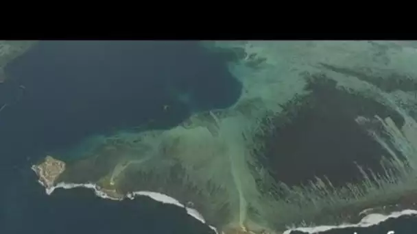 Ile Maurice : barrière de corail et champs