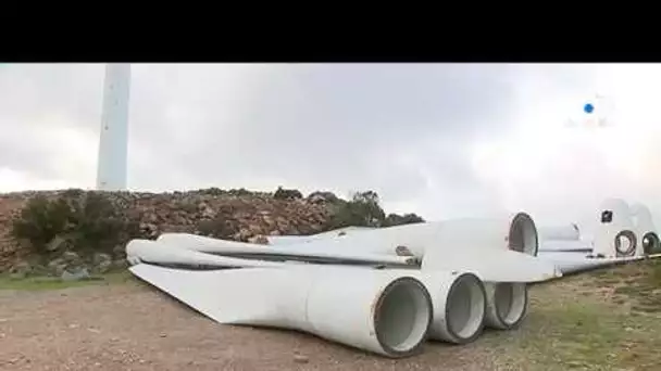 Cap Corse : le parc éolien fait peau neuve