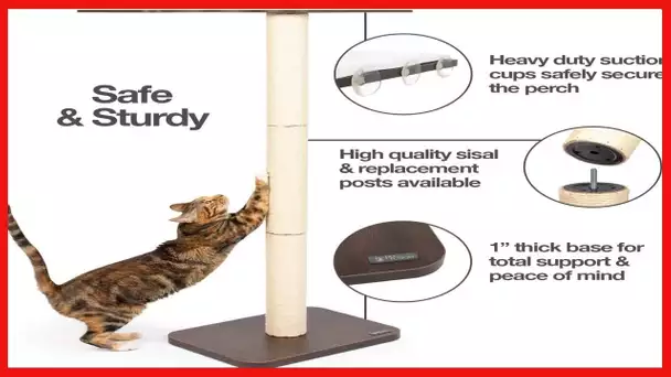 PetFusion Ultimate Cat Window Climbing Perch 45” Tall