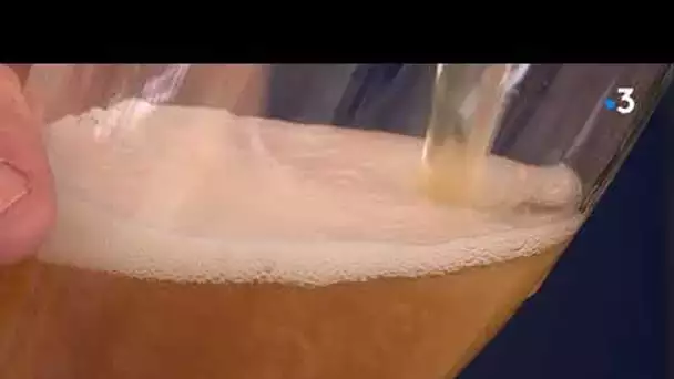 Une bière 100% Occitane brassée dans le Tarn