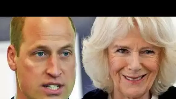 Pas facile pour lui !" Le prince William "soutient" la reine Camilla malgré "d'énormes querelles fam