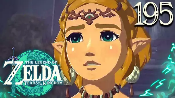 Zelda Tears of the Kingdom #195 : LE DON DIVIN DU HÉROS LÉGENDAIRE SE RÉVEILLE !