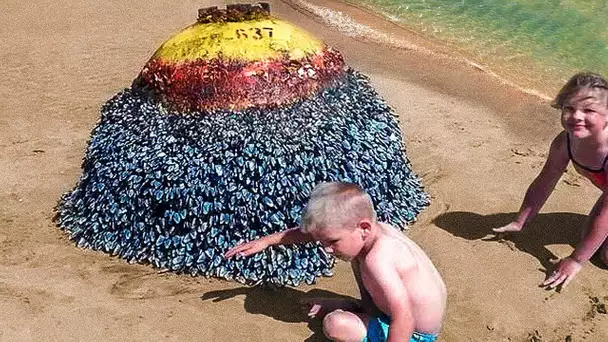 CETTE FAMILLE A TROUVÉ UNE CHOSE ÉTRANGE SUR LA PLAGE !