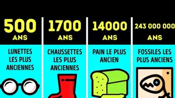 Comparaison : les choses les plus anciennes sur Terre (choses, pas les animaux !)