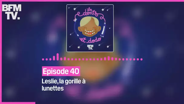 Episode 40 : Leslie, la gorille à lunettes - Les dents et dodo